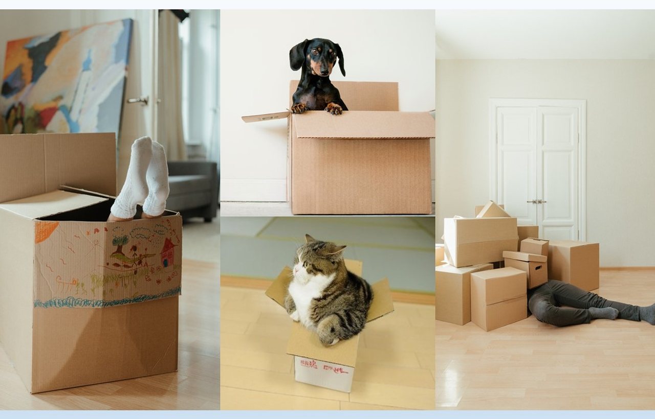 Packed boxes in a home before moving day